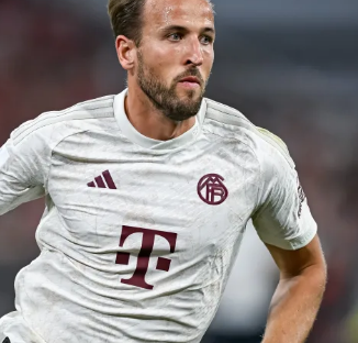 成功限制了 成功限制了