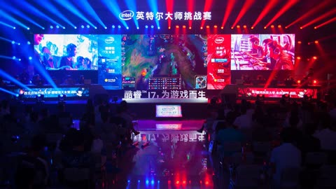 纯组织者